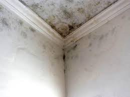 Best Post-Construction Mold Inspection  in Inverness, IL